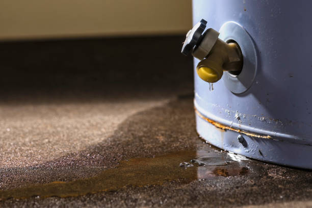Best Water damage contractors near me  in Roessleville, NY