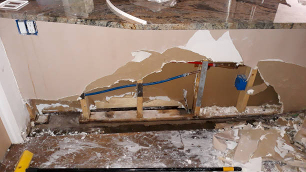Best Flood restoration services  in Roessleville, NY