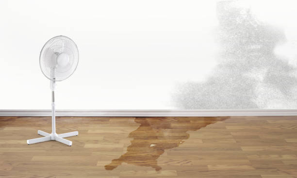 Best Carpet water damage restoration  in Roessleville, NY