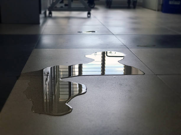 Best Water damage restoration near me  in Roessleville, NY