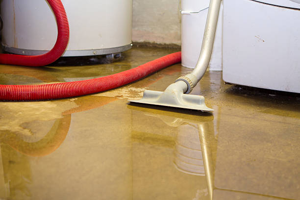 Best Water damage restoration near me  in Roessleville, NY
