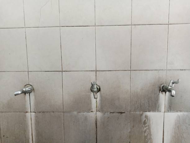 Best Fire Damage Restoration  in Roessleville, NY