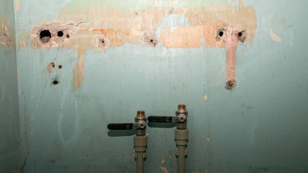 Best Emergency water extraction  in Roessleville, NY