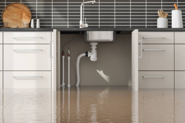 Best 24-hour water damage restoration  in Roessleville, NY