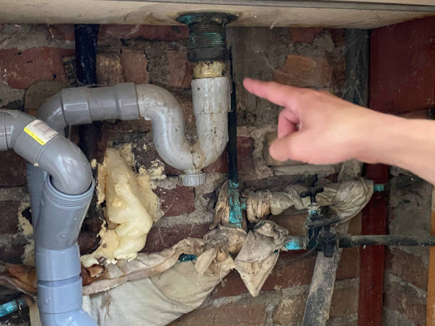 Best Professional water damage repair  in Roessleville, NY