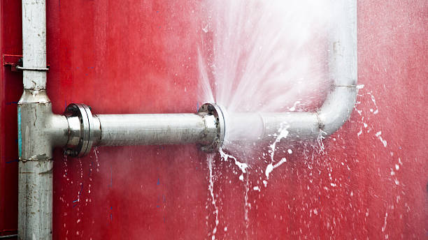 Best Water damage cleanup near me  in Roessleville, NY